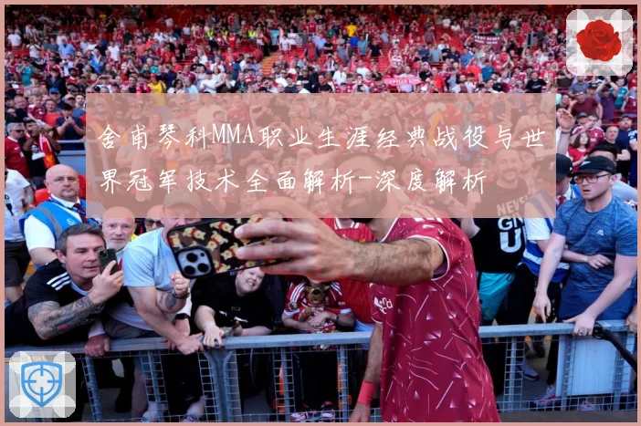 舍甫琴科MMA职业生涯经典战役与世界冠军技术全面解析-深度解析