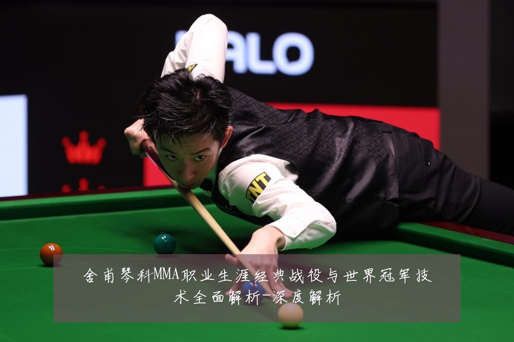 舍甫琴科MMA职业生涯经典战役与世界冠军技术全面解析-深度解析