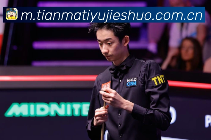 舍甫琴科MMA职业生涯经典战役与世界冠军技术全面解析-深度解析 舍甫琴科MMA职业生涯经典战役与世界冠军技术全面解析-深度解析